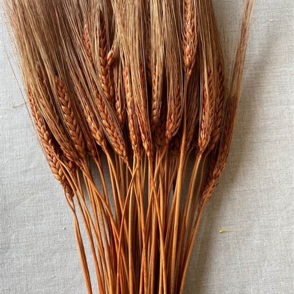 NATURAL DECORTIVE DRY WHEAT - Picture 5 of 5